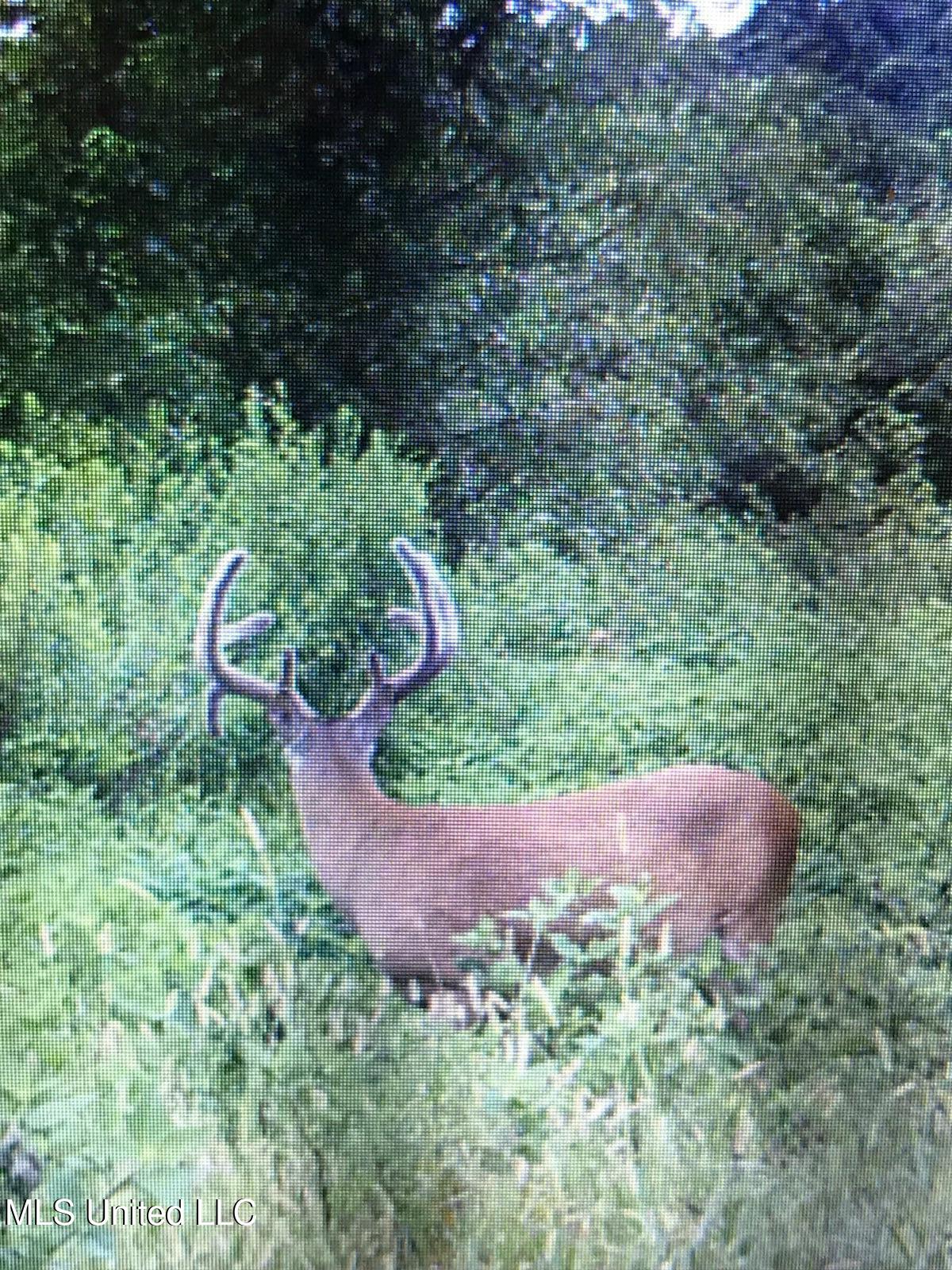 0 Warehouse Road Yazoo City, MS 39194 - Photo 44 of 102 IMG_2339