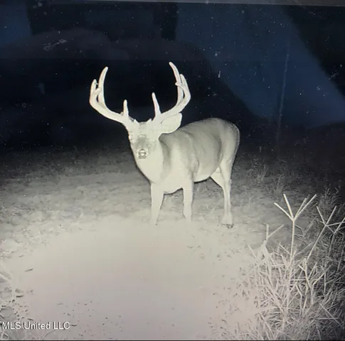 $4,215,000 | 0 Warehouse Road, Yazoo City, MS 39194