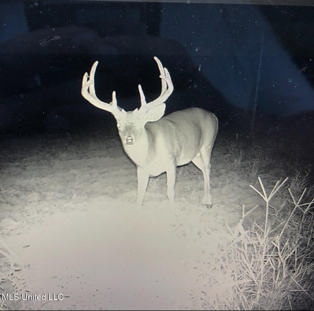 0 Warehouse Road Yazoo City, MS 39194 - Photo 45 of 102 IMG_8140