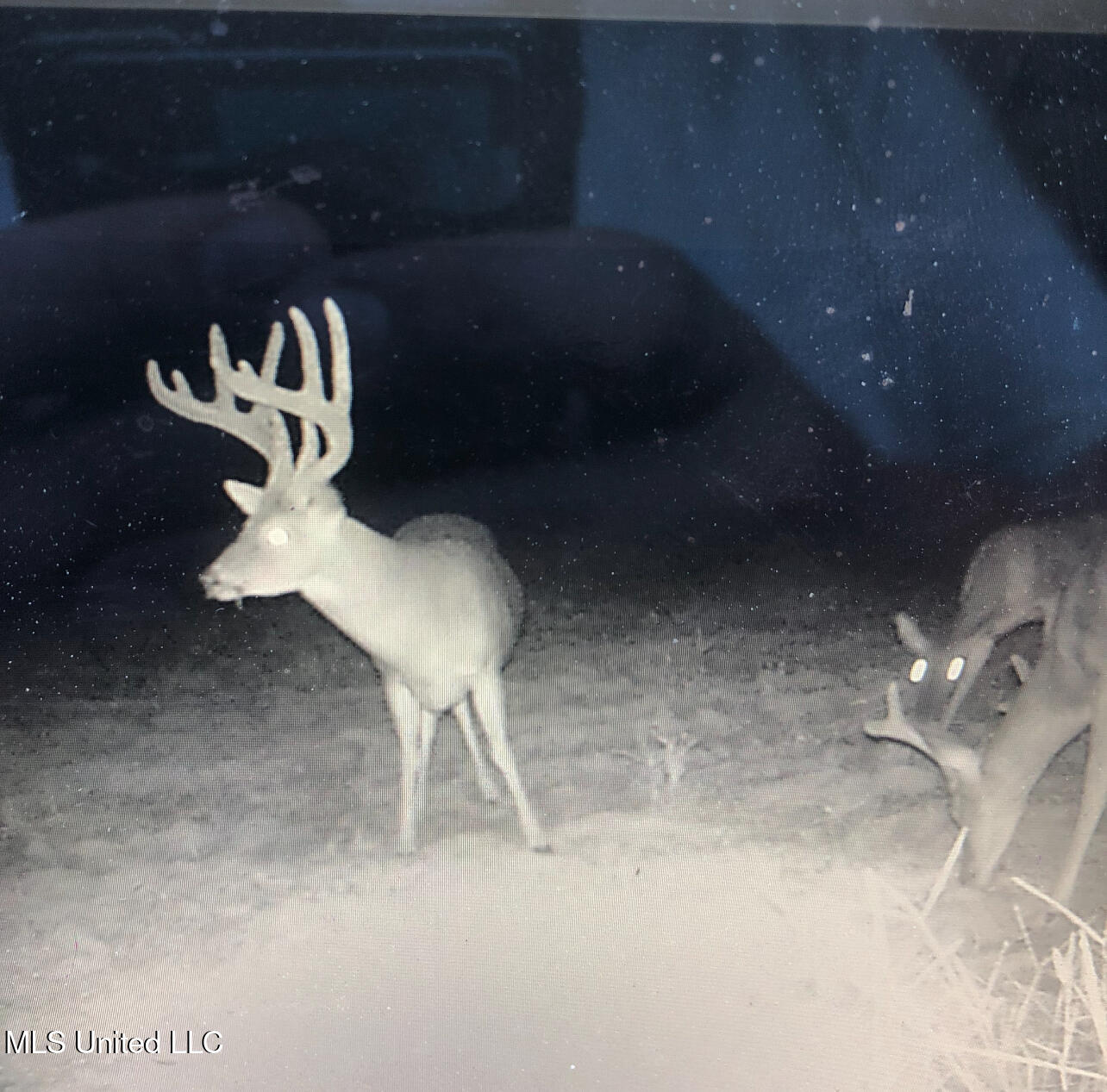 0 Warehouse Road Yazoo City, MS 39194 - Photo 46 of 102 IMG_8139