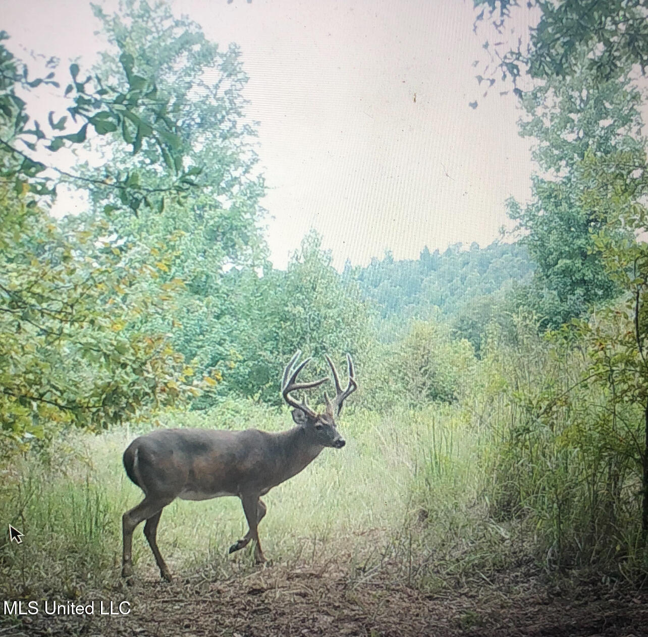 0 Warehouse Road Yazoo City, MS 39194 - Photo 47 of 102 IMG_8138