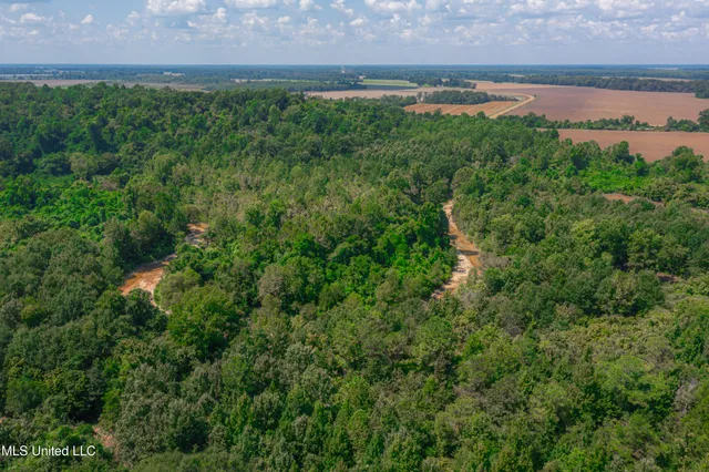 $4,215,000 | 0 Warehouse Road, Yazoo City, MS 39194