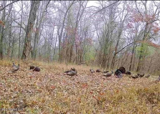 $4,215,000 | 0 Warehouse Road, Yazoo City, MS 39194