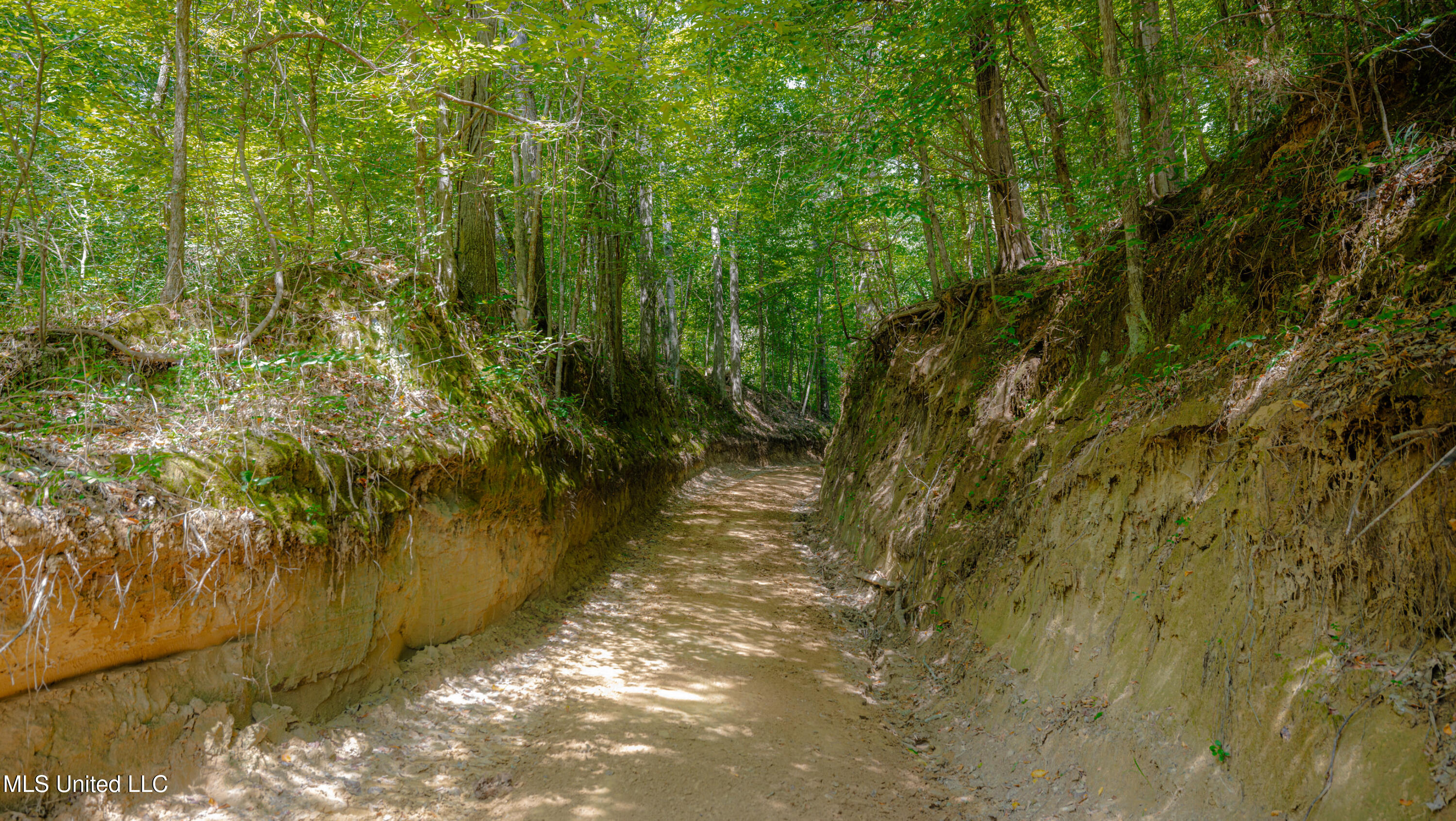 0 Warehouse Road Yazoo City, MS 39194 - Photo 8 of 102 1R4A7783