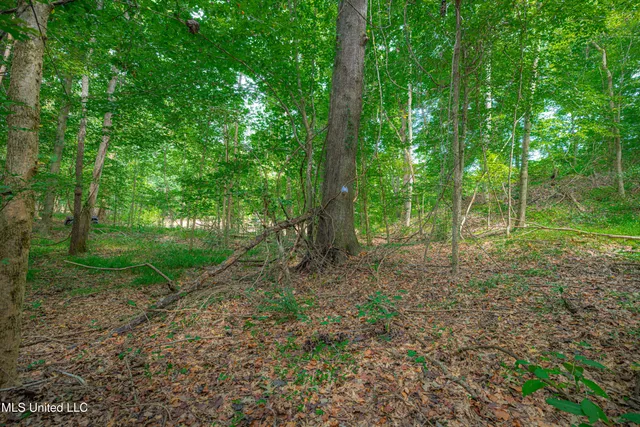 $4,215,000 | 0 Warehouse Road, Yazoo City, MS 39194