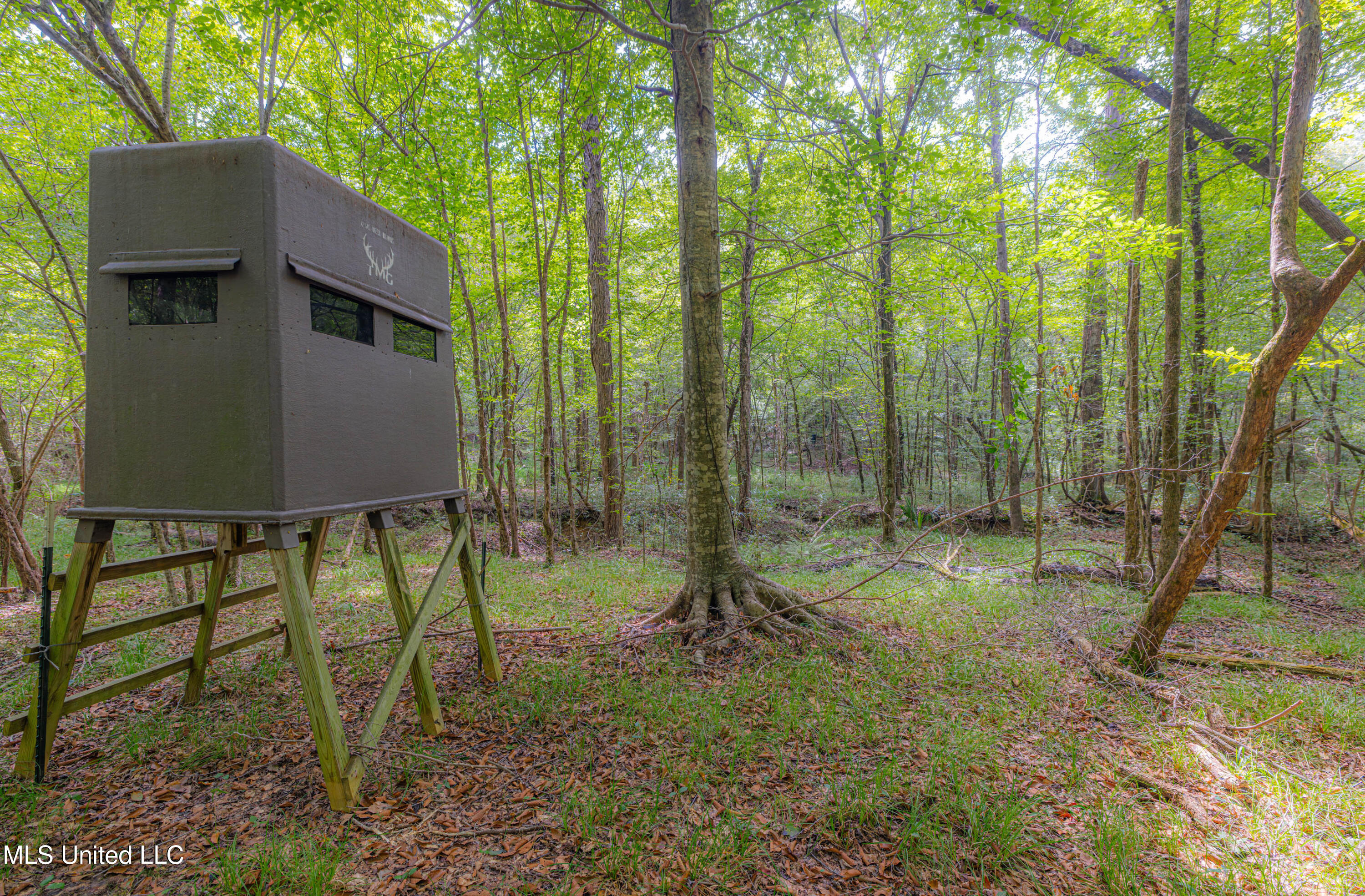 0 Warehouse Road Yazoo City, MS 39194 - Photo 10 of 102 1R4A7742