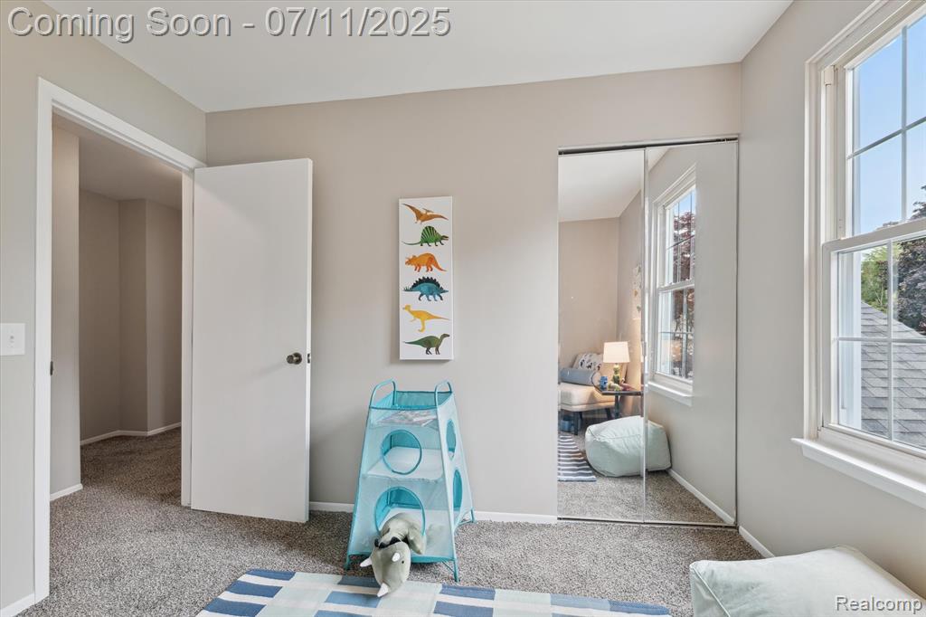 33981 Embassy Street Chesterfield, MI 48047 - Photo 29 of 51