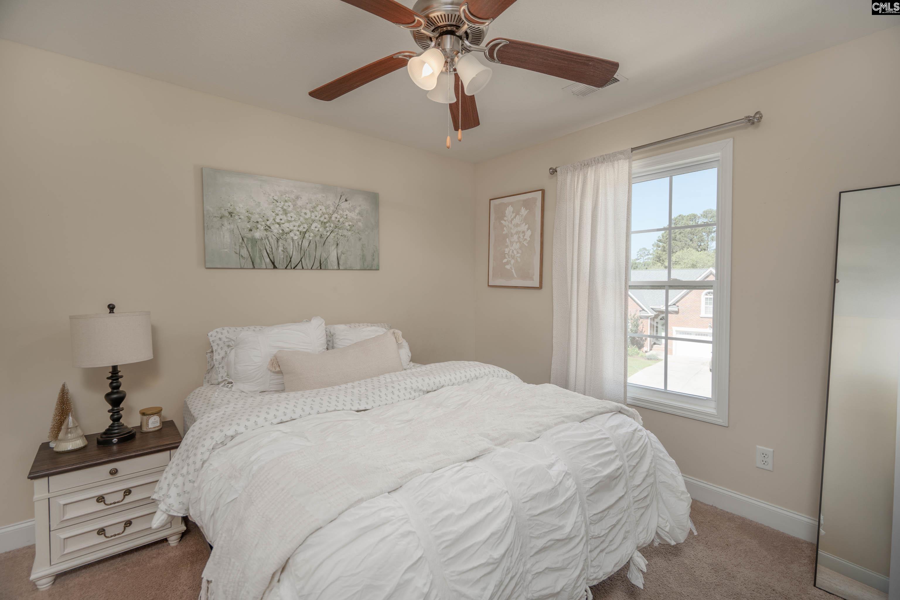 133 Palm Street Chapin, SC 29036 - Photo 23 of 37