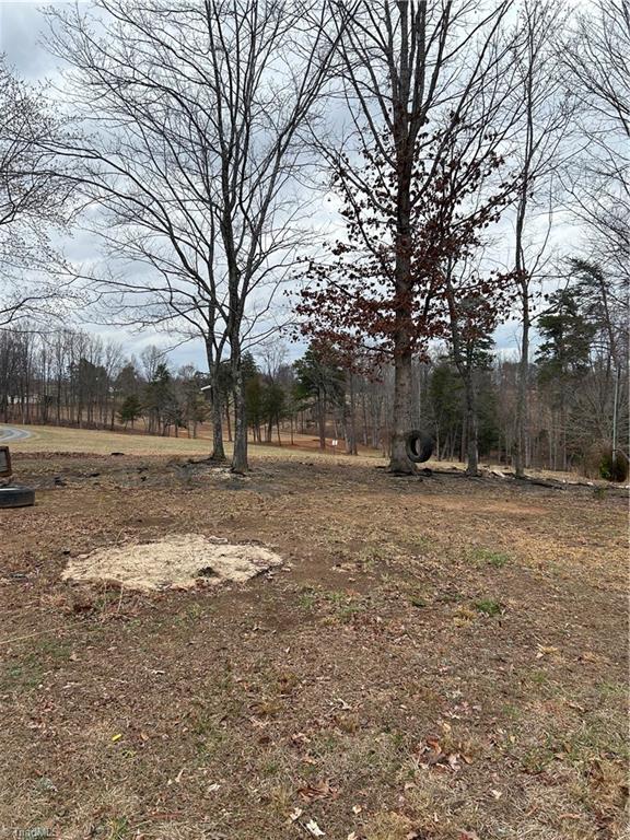 1185 Chaney Farm Road Madison, NC 27025 - Photo 5 of 6