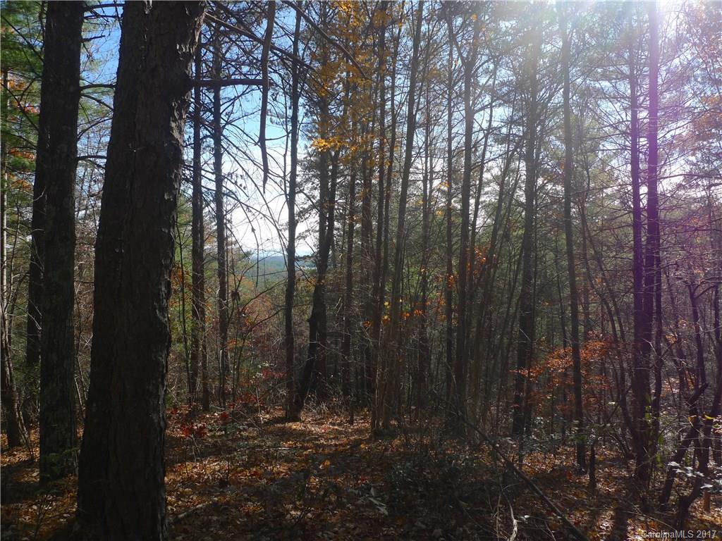 2527 Wolf Pit Road, Unit 29 Nebo, NC 28761 - Photo 3 of 5 Gallery Image 3