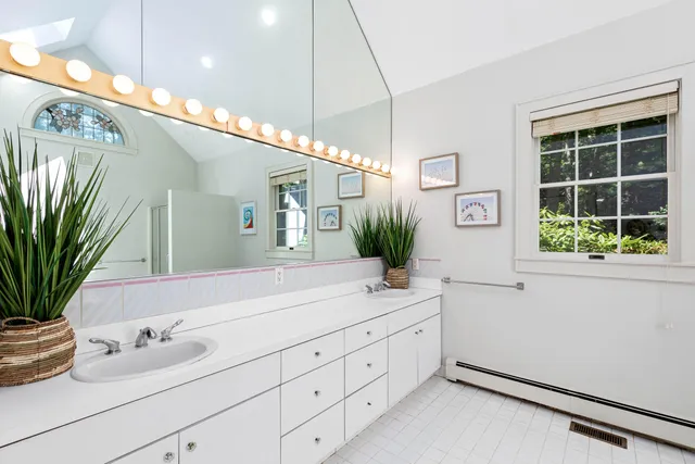a bathroom with a granite countertop sink a potted plant and a large mirror