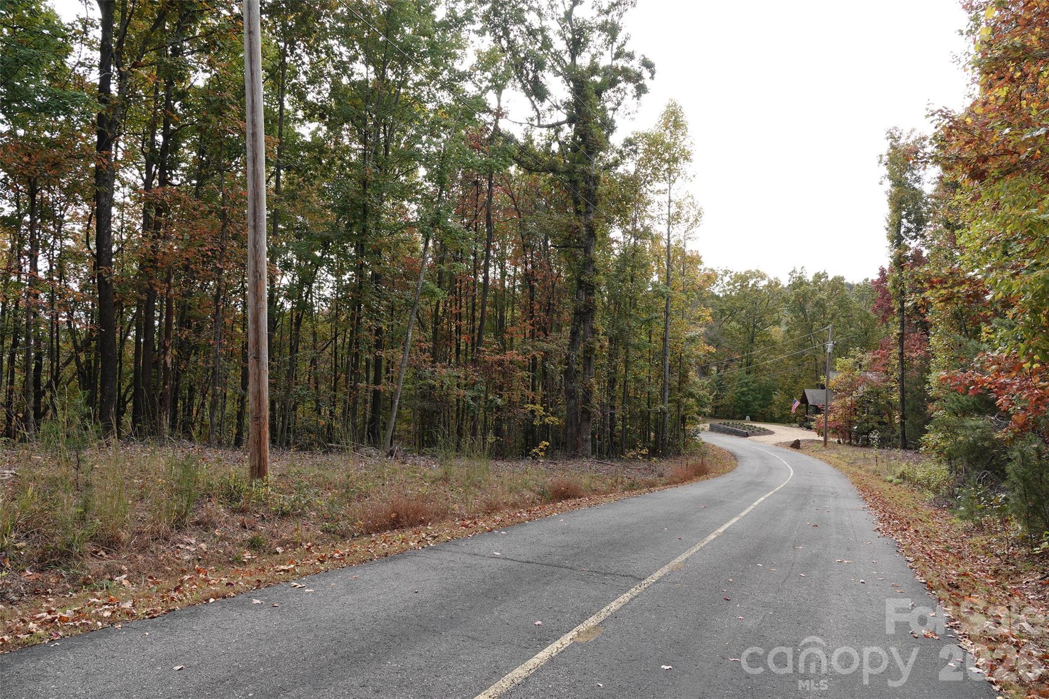 100 Sunset Drive Bostic, NC 28018 - Photo 11 of 15 a view of a forest with trees