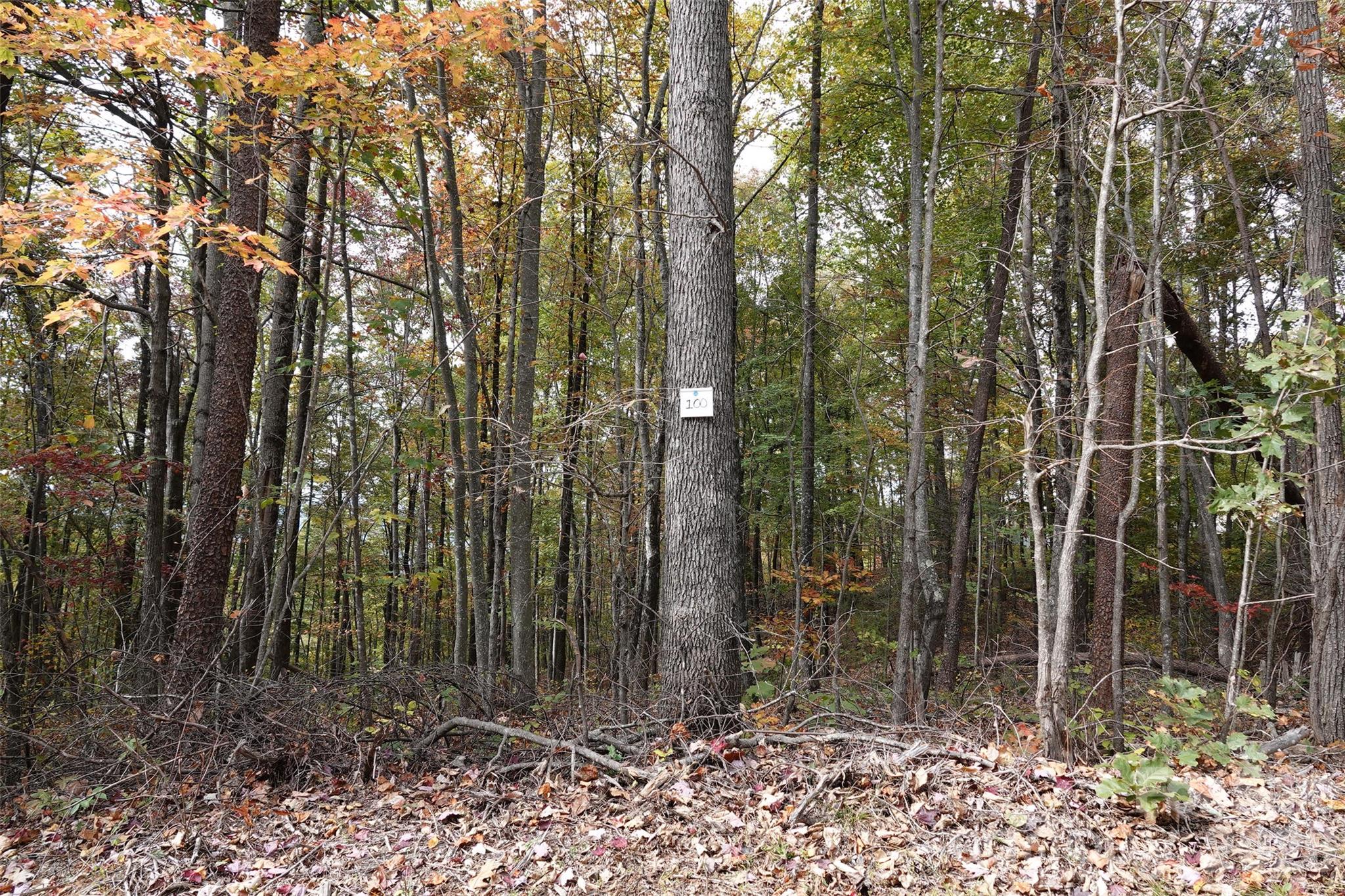100 Sunset Drive Bostic, NC 28018 - Photo 12 of 15 a view of outdoor space and yard