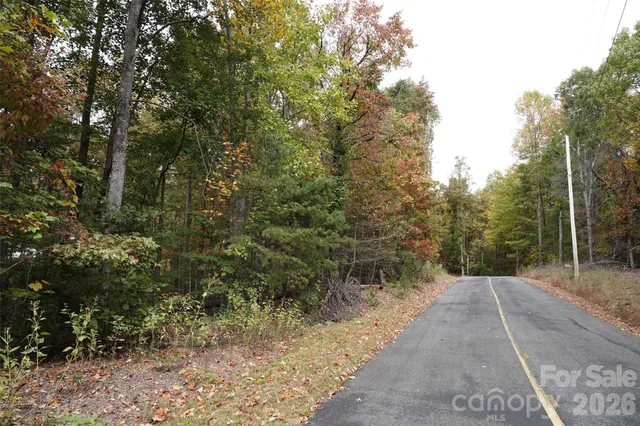 a view of a forest with trees