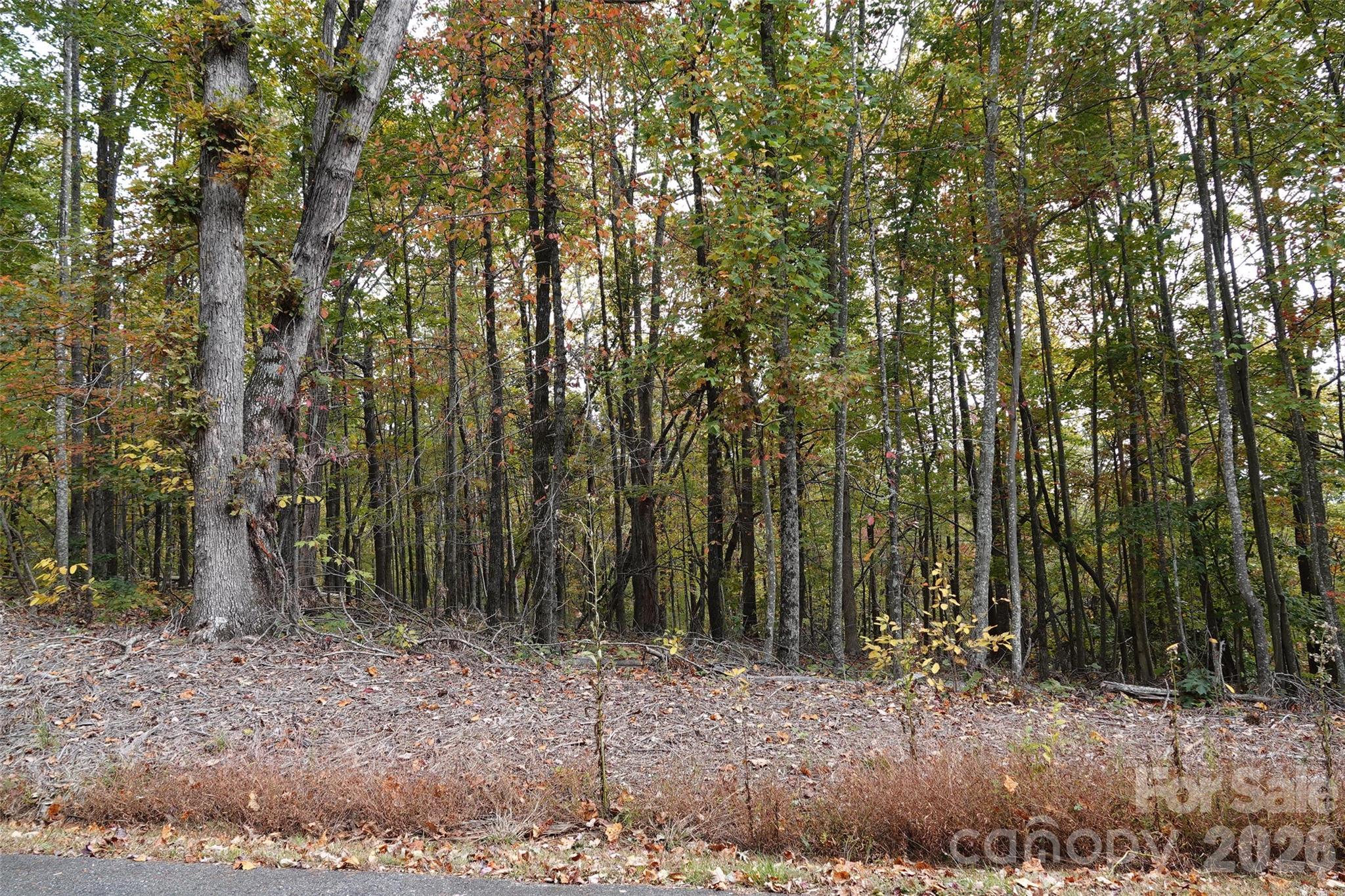 100 Sunset Drive Bostic, NC 28018 - Photo 7 of 15 a view of a forest