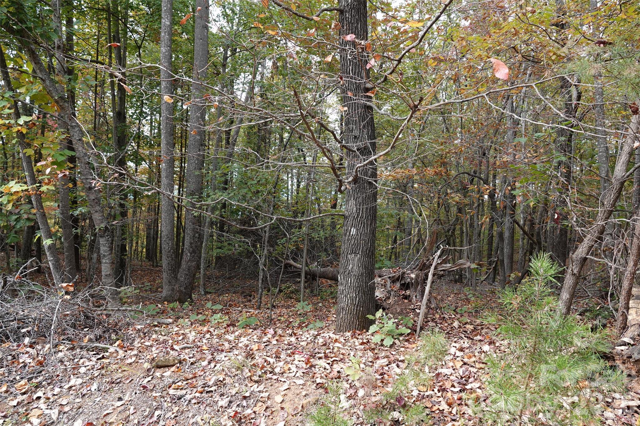 100 Sunset Drive Bostic, NC 28018 - Photo 8 of 15 a backyard of a house with lots of green space and chair