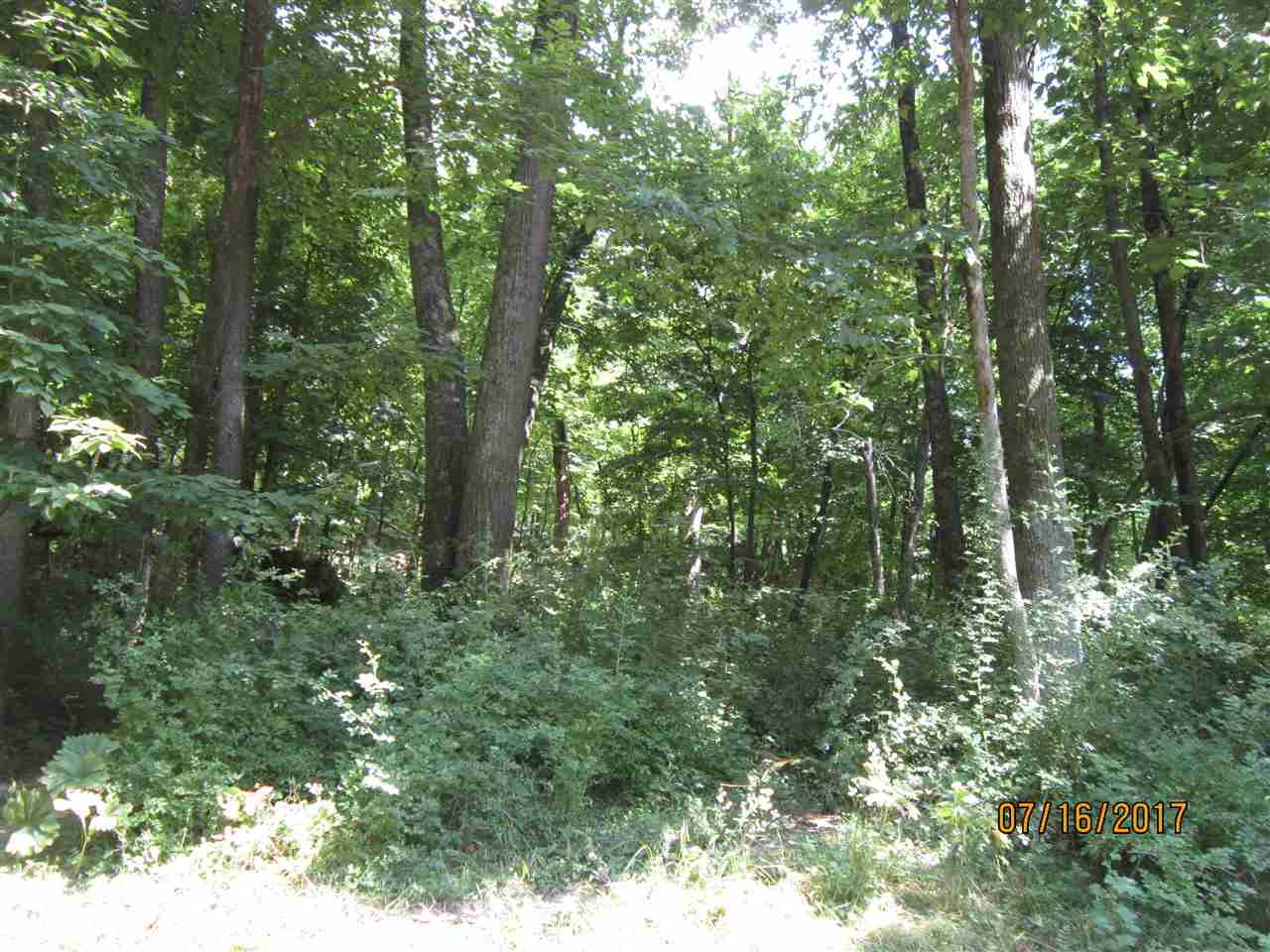 Fischer Road Bernard, IA 52032 - Photo 18 of 24 Gallery Image 18