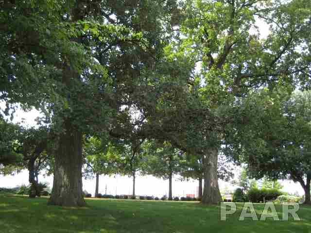 1004 Kingsbury Road Washington, IL 61571 - Photo 30 of 32 Gallery Image 30
