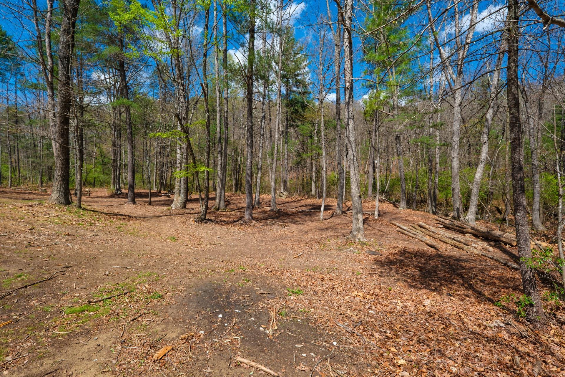 199 Silver Mine Road Churchville, VA 24421 - Photo 16 of 23 Gallery Image 16