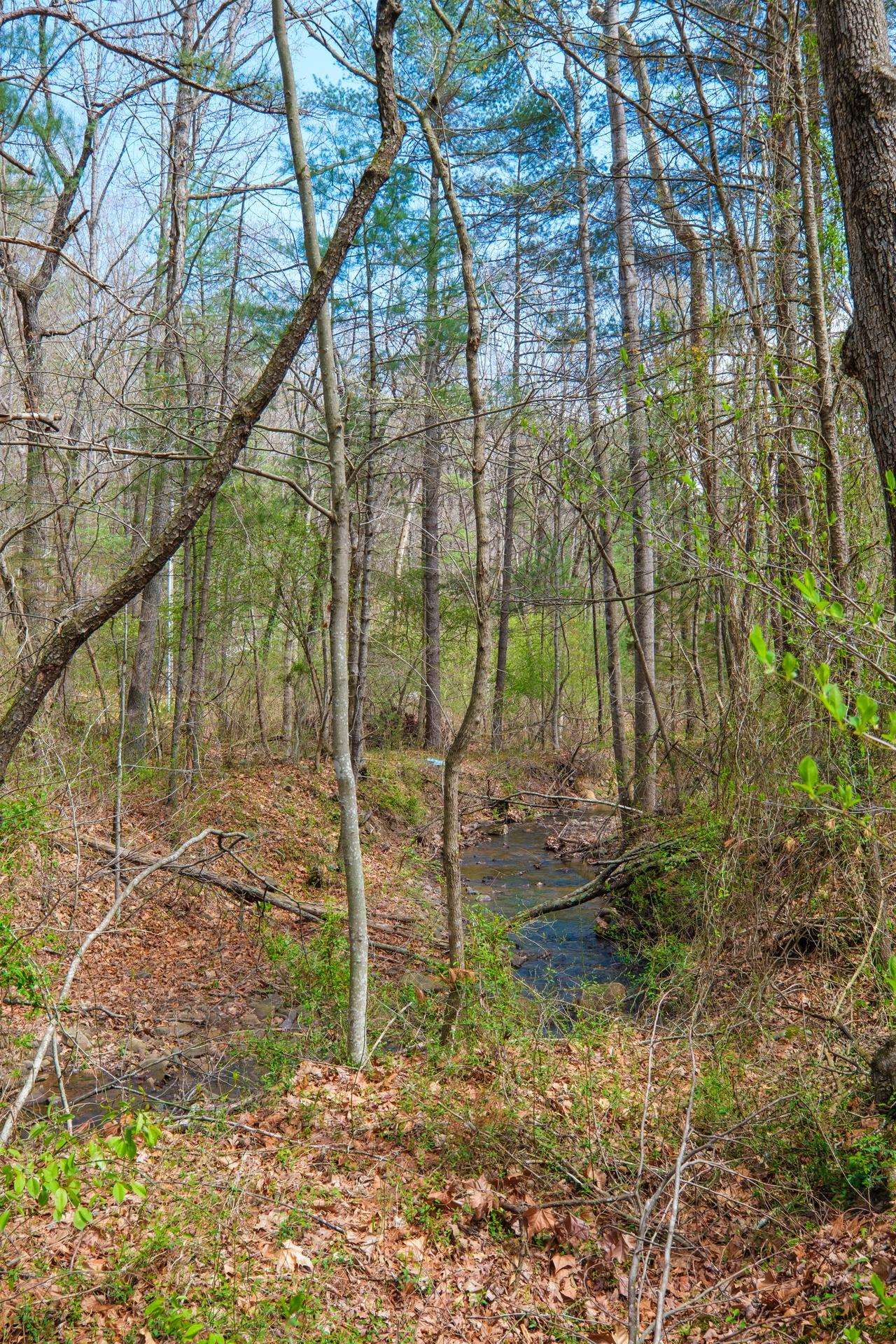 199 Silver Mine Road Churchville, VA 24421 - Photo 18 of 23 Gallery Image 18