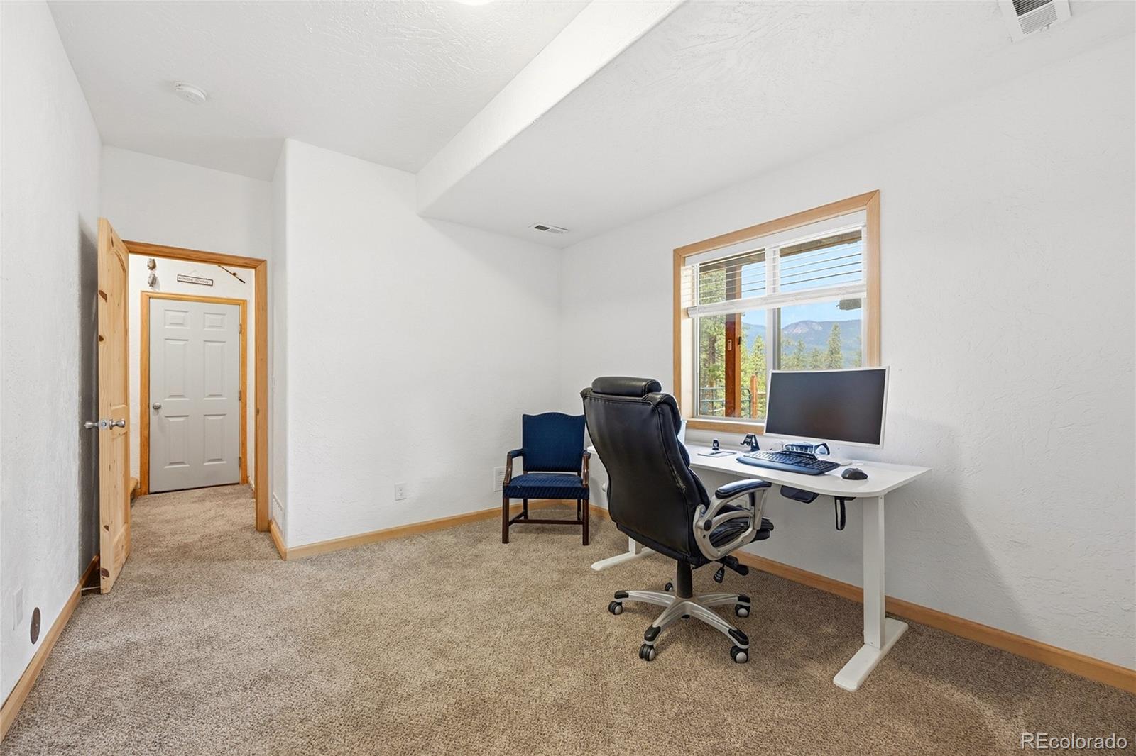 705 Gold Flake Terrace Bailey, CO 80421 - Photo 28 of 48
