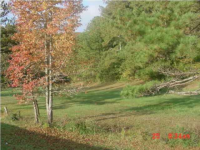 318 Long Hollow Road Rock Spring, GA 30739 - Photo 9 of 9 Additional Photo