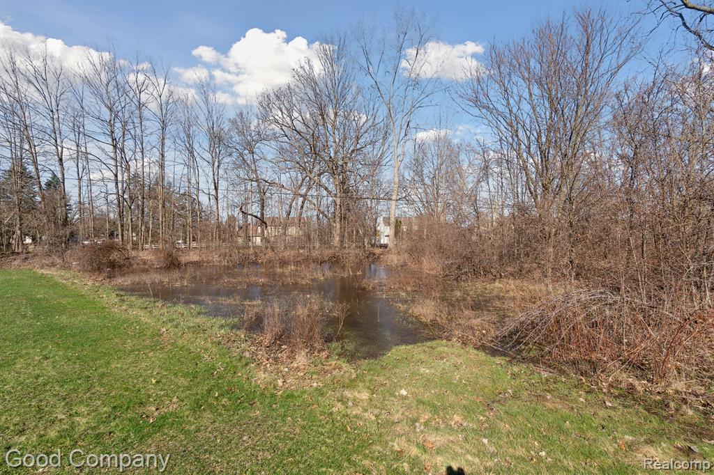 0 Orion Road Lake Orion, MI 48362 - Photo 5 of 13