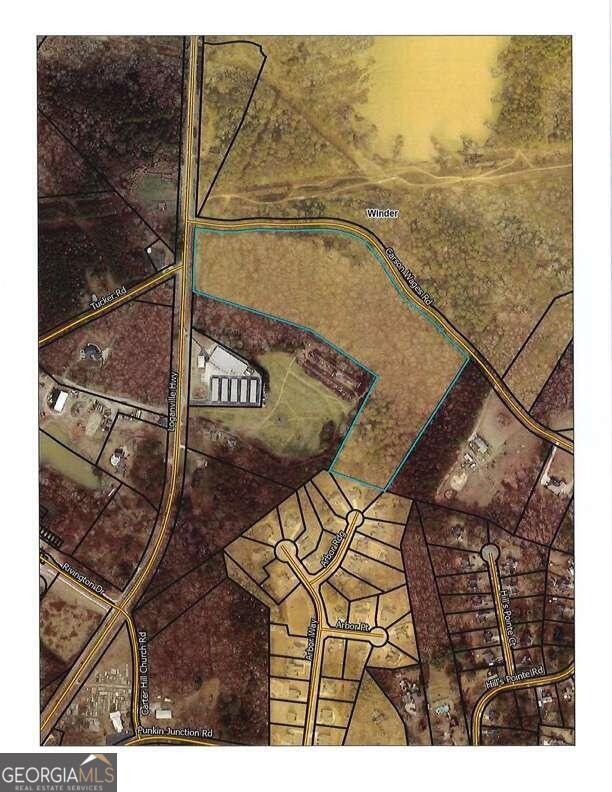 0 Carson Wages Road Bethlehem, GA 30620 - Photo 3 of 5