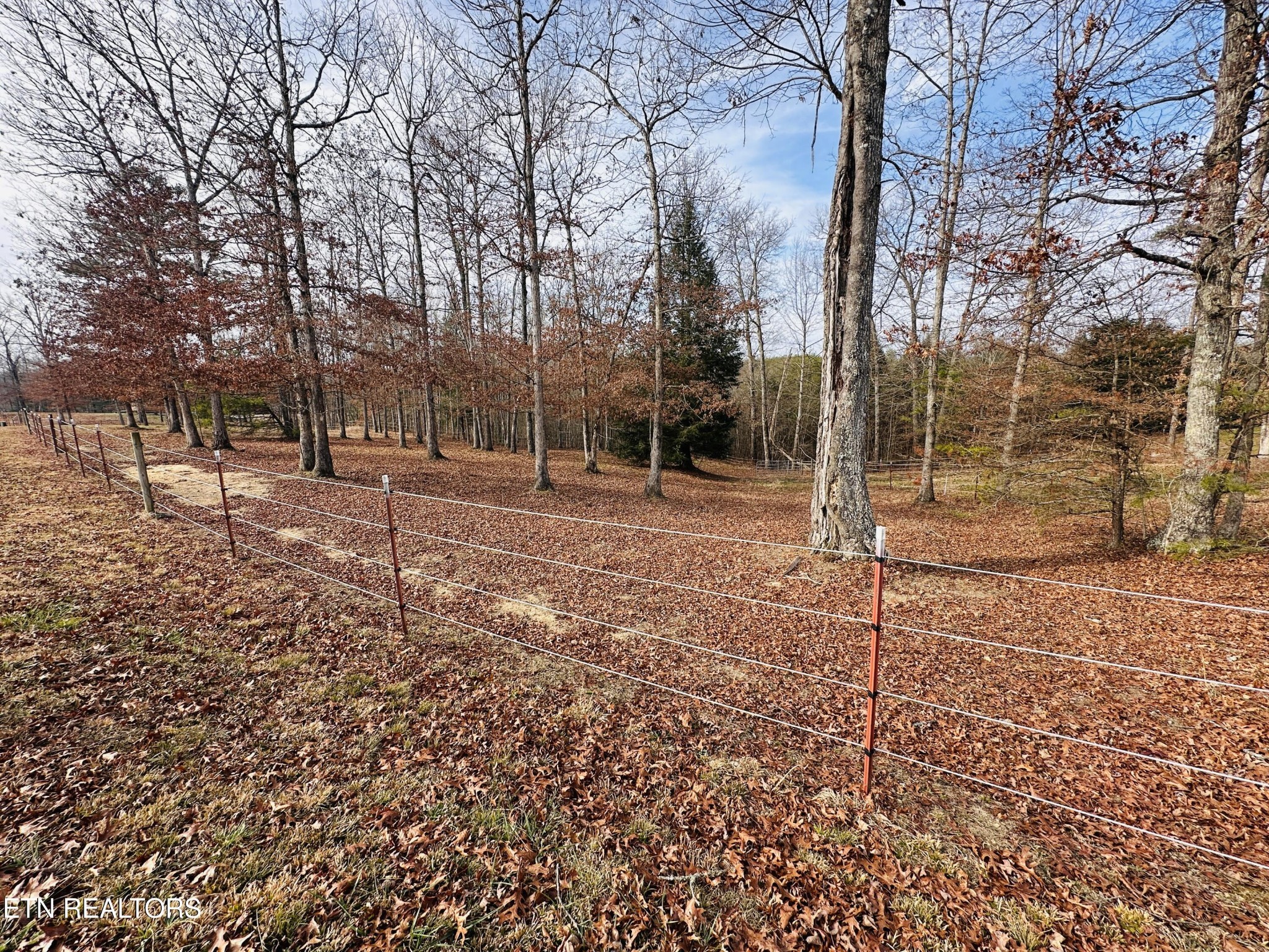 237 Rockview Road Jamestown, TN 38556 - Photo 6 of 9 a backyard of a house with lots of green space