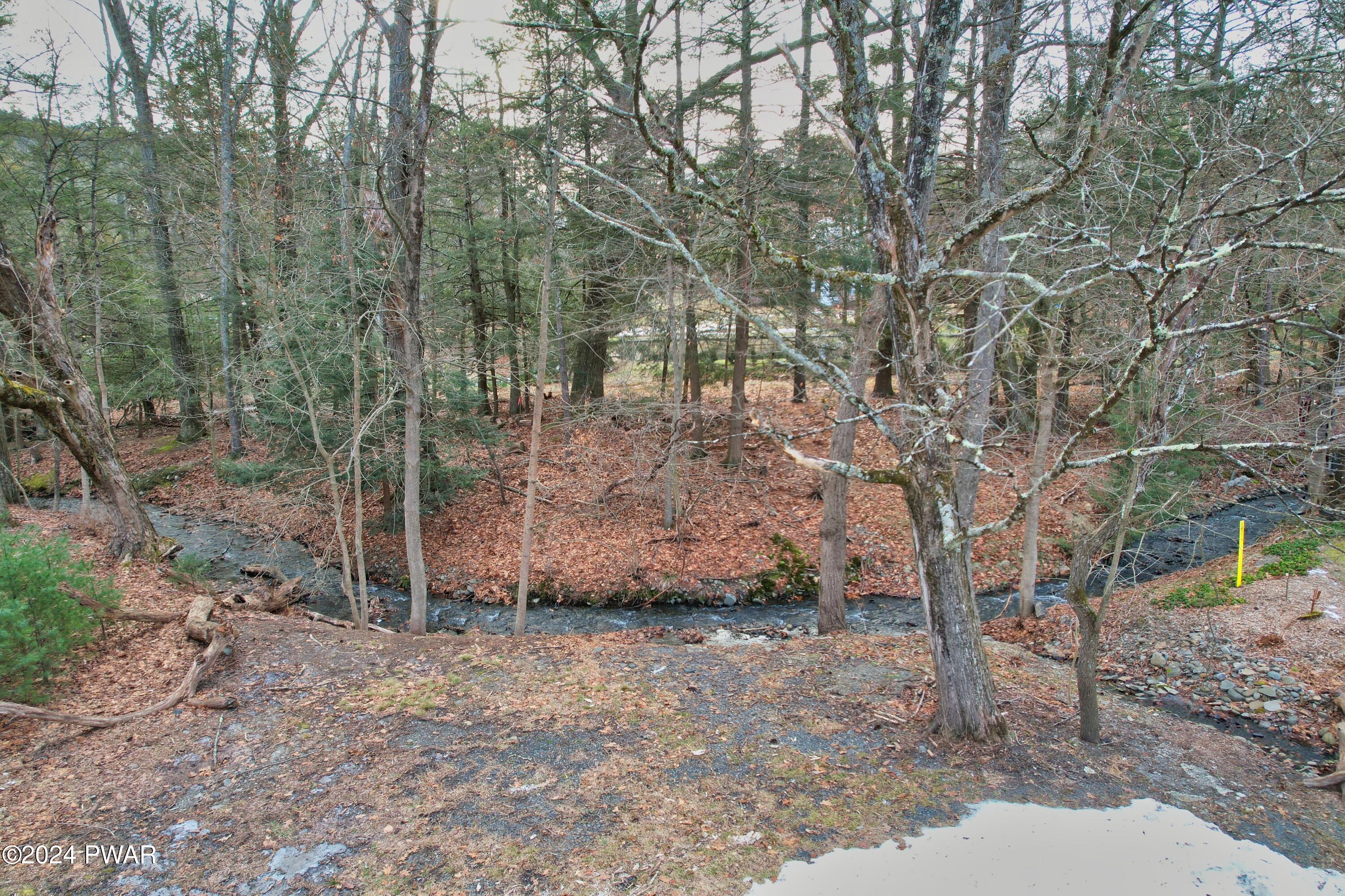 108 9th Street Milford, PA 18337 - Photo 28 of 38 a view of a forest filled with trees