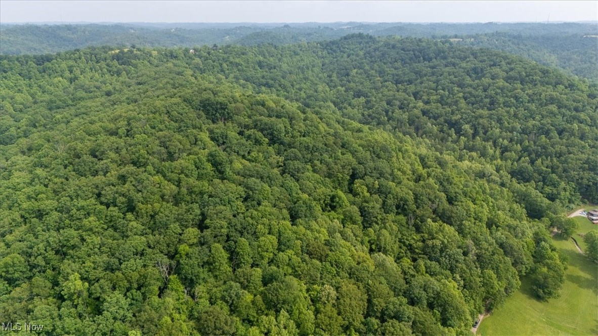 Sandy Run Road Elizabeth, WV 26143 - Photo 8 of 31 Drone / aerial view of a forest