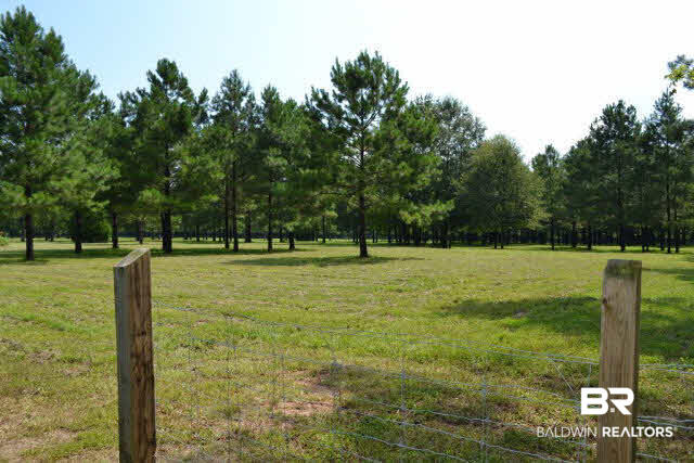 27608 County Road 65 Loxley, AL 36551 - Photo 25 of 32 Pristine land