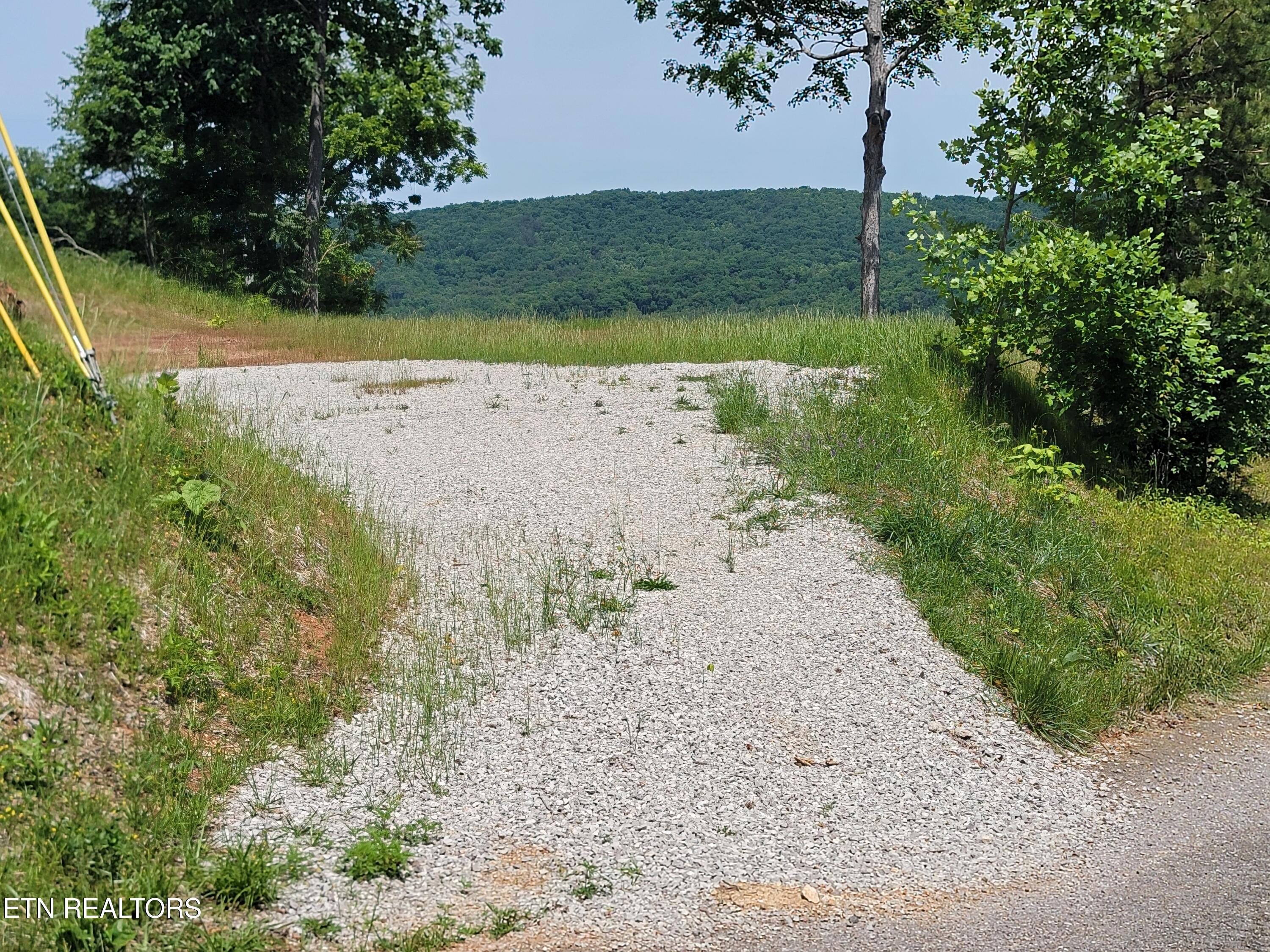 548 Hickory Point Lane Maynardville, TN 37807 - Photo 5 of 8 Driveway