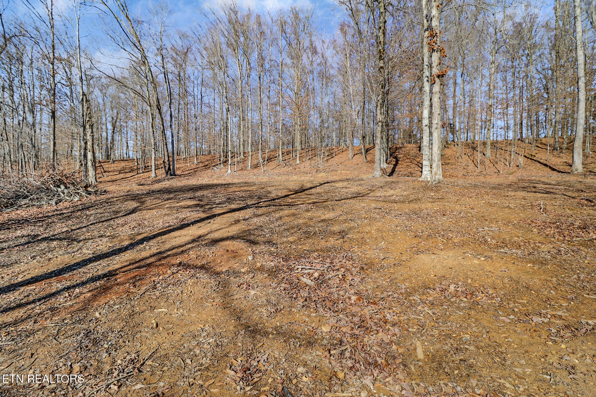 5031 Robbinstown Road Byrdstown, TN 38549 - Photo 38 of 60 Gallery Image 38