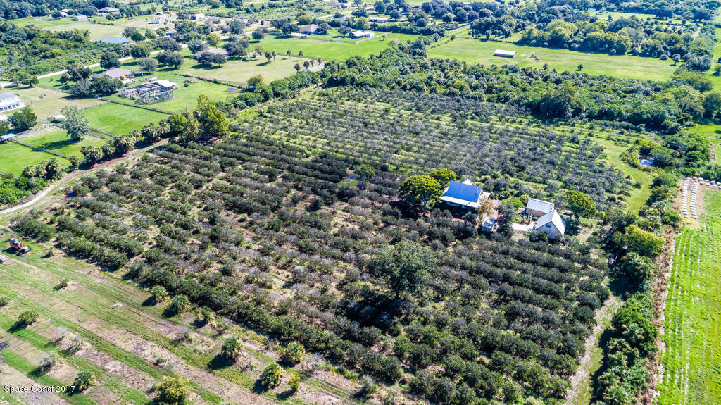 3479 Grandperrin Road Mims, FL 32754 - Photo 2 of 26 DJI_0019