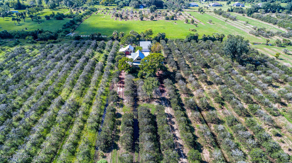 3479 Grandperrin Road Mims, FL 32754 - Photo 3 of 26 DJI_0014