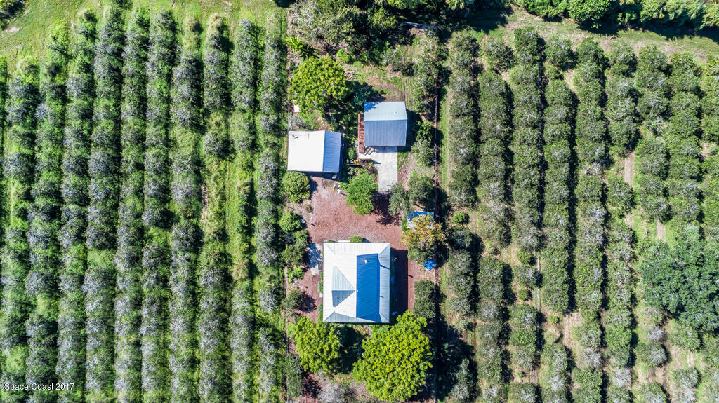 3479 Grandperrin Road Mims, FL 32754 - Photo 5 of 26 DJI_0015