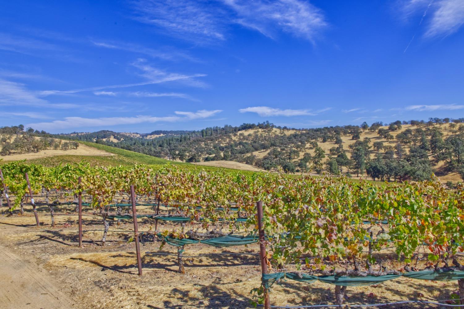 0 Veauta Road Plymouth, CA 95669 - Photo 9 of 11