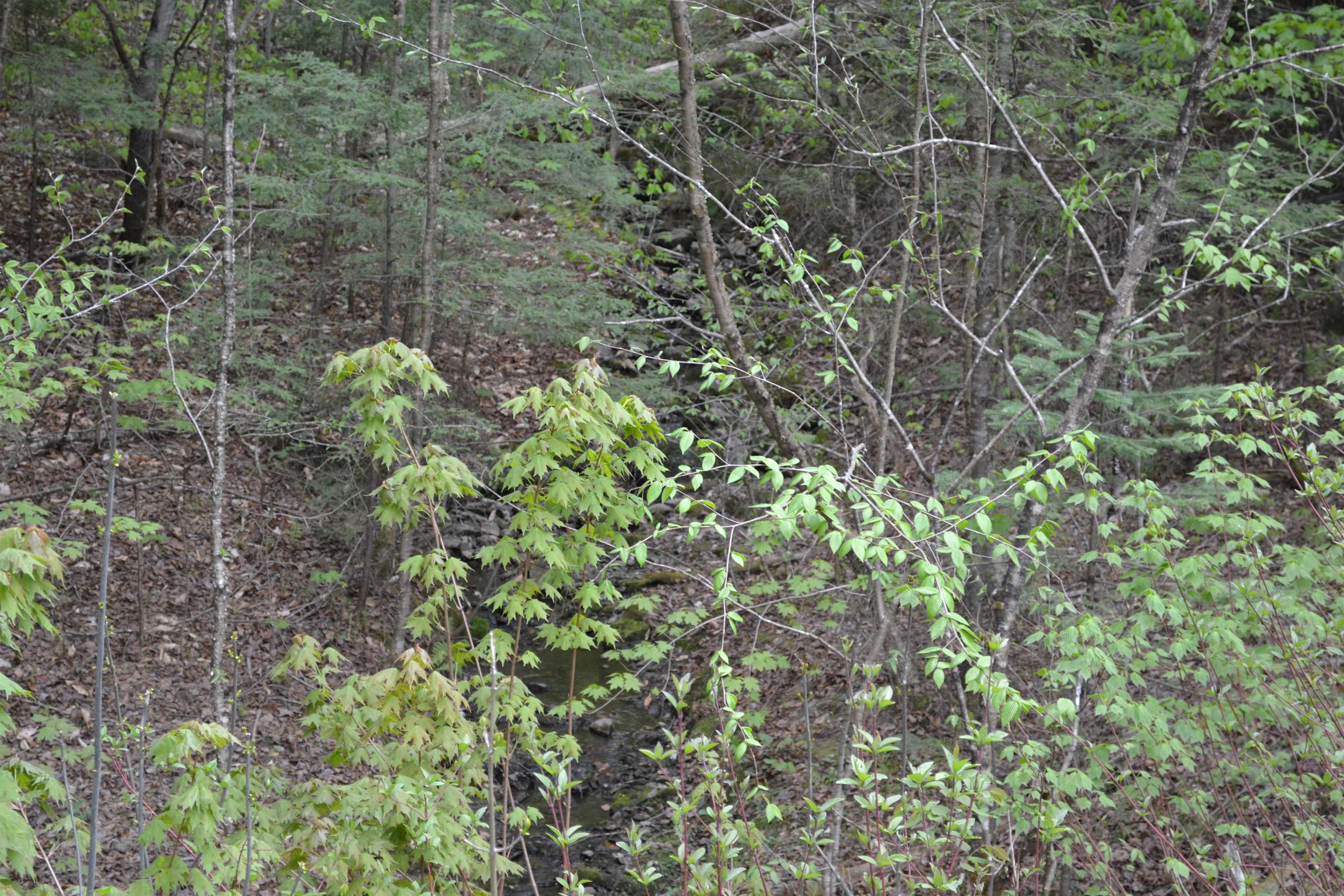 471 Valley Road, Unit LOT 2 Lowell, VT 05847 - Photo 4 of 9