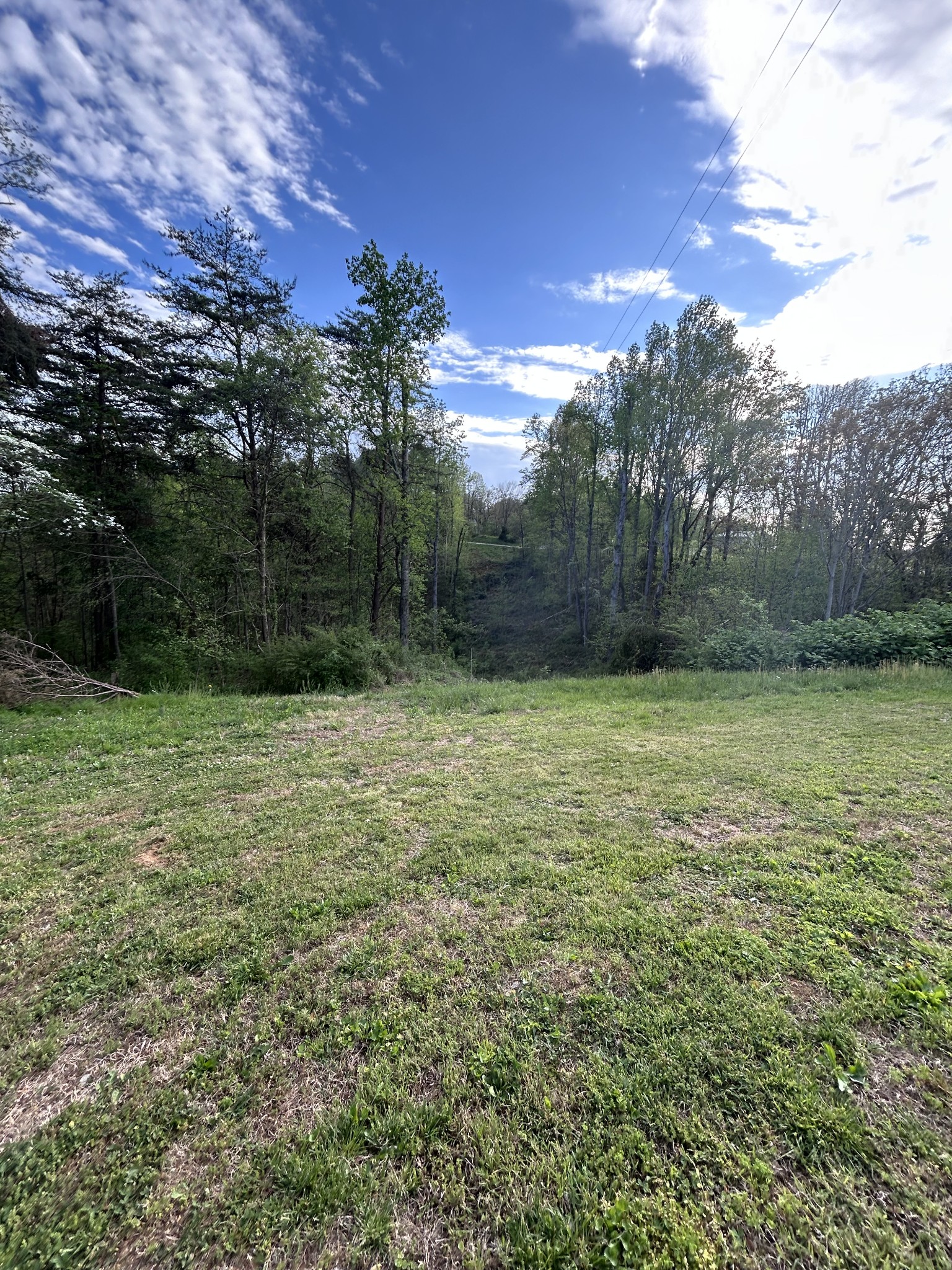 259 Union Hill Moss Road Moss, TN 38575 - Photo 17 of 28