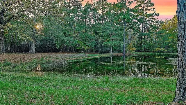 a view of green field with grass