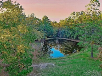 0 Roy Christie Road Lufkin, TX 75904 - Photo 2 of 2 a view of a yard