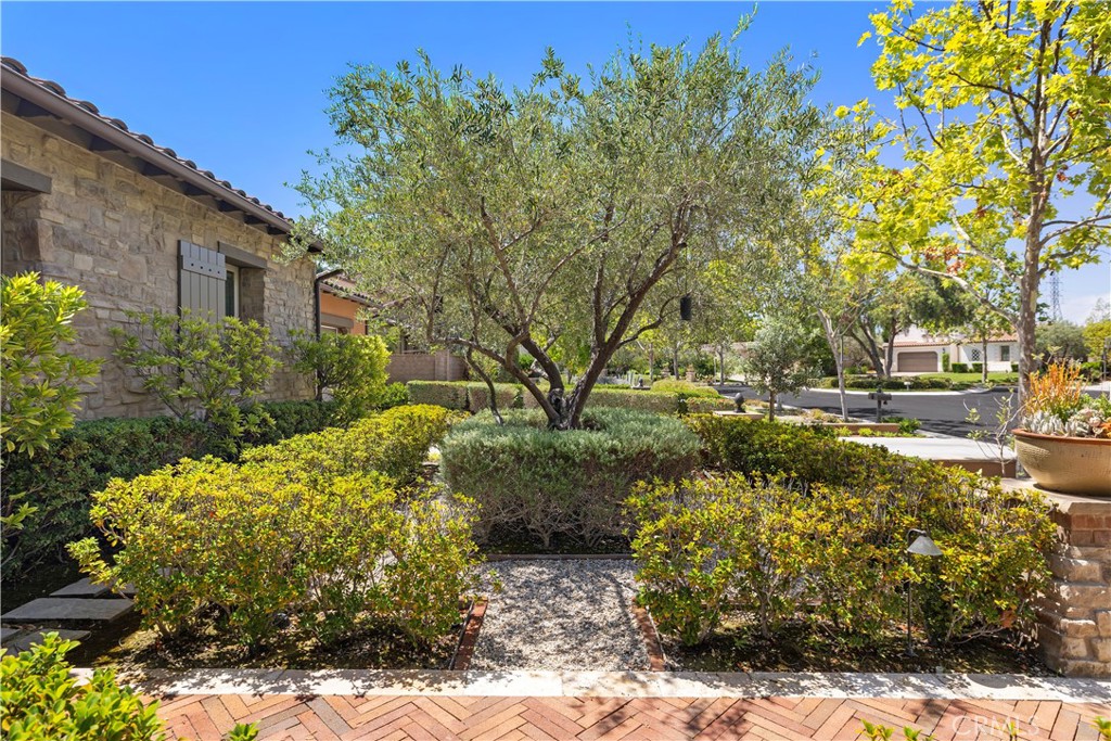 8 Gaucho Road Ladera Ranch, CA 92694 - Photo 53 of 69 Gallery Image 53
