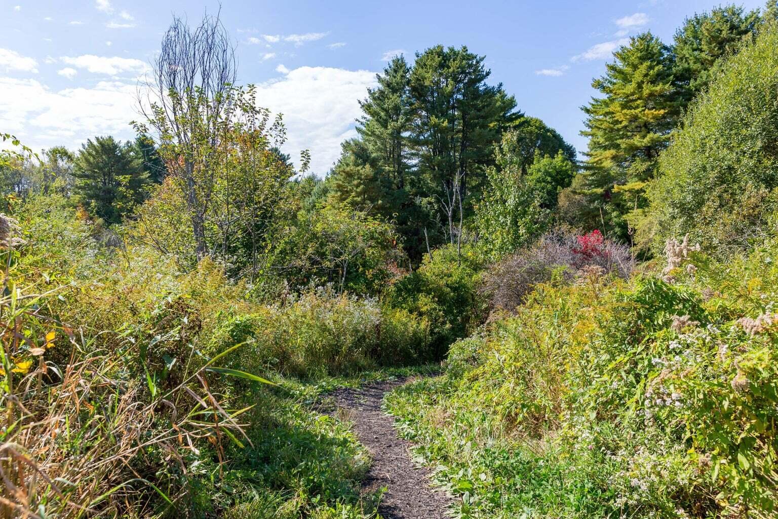 338 Capisic Street Portland, ME 04102 - Photo 35 of 36 Portland Trails