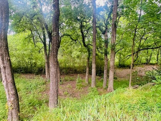 1229 Epps Road Palmer, TX 75152 - Photo 32 of 32
