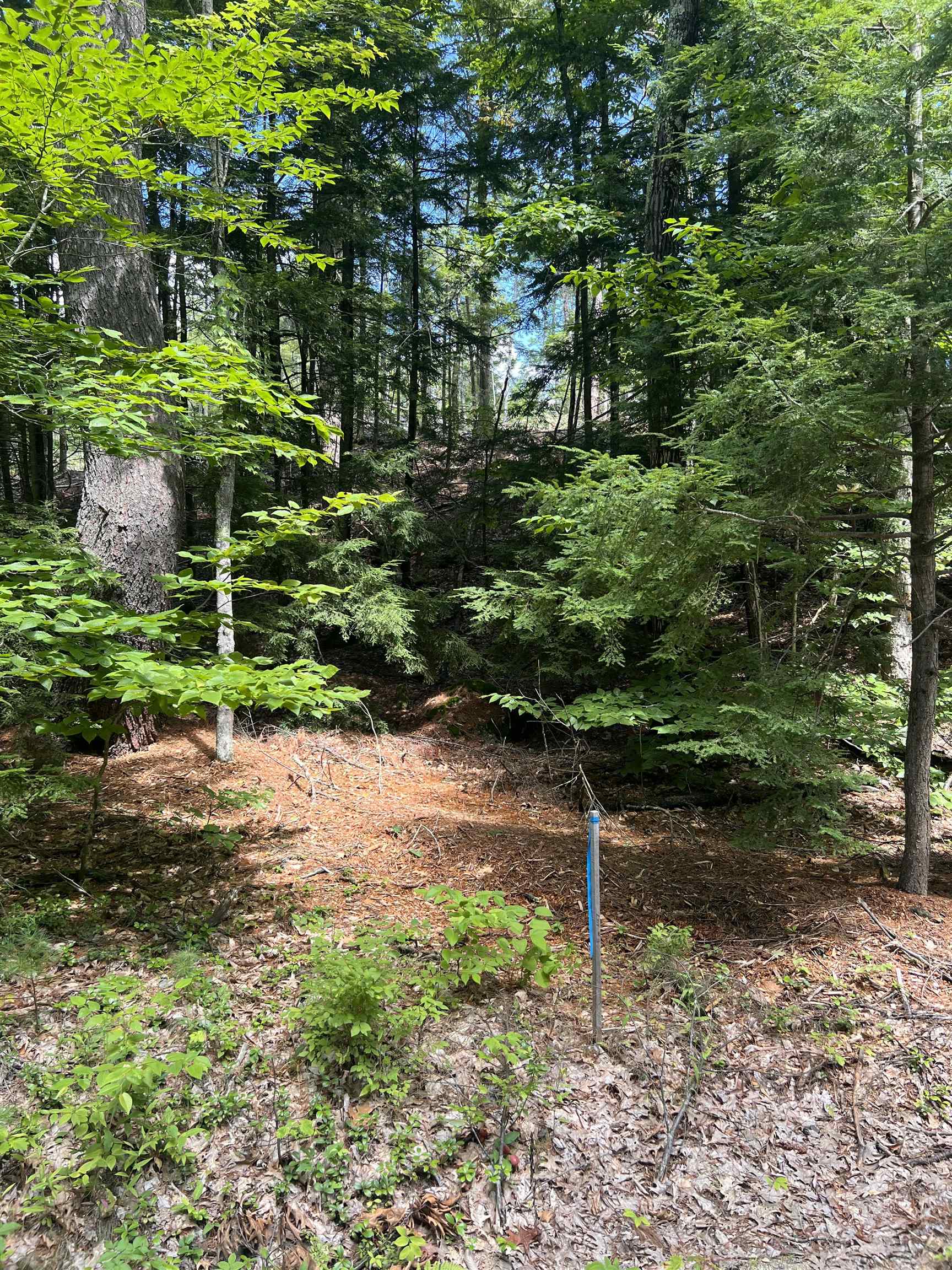 18-8 Province Road Strafford, NH 03884 - Photo 2 of 8