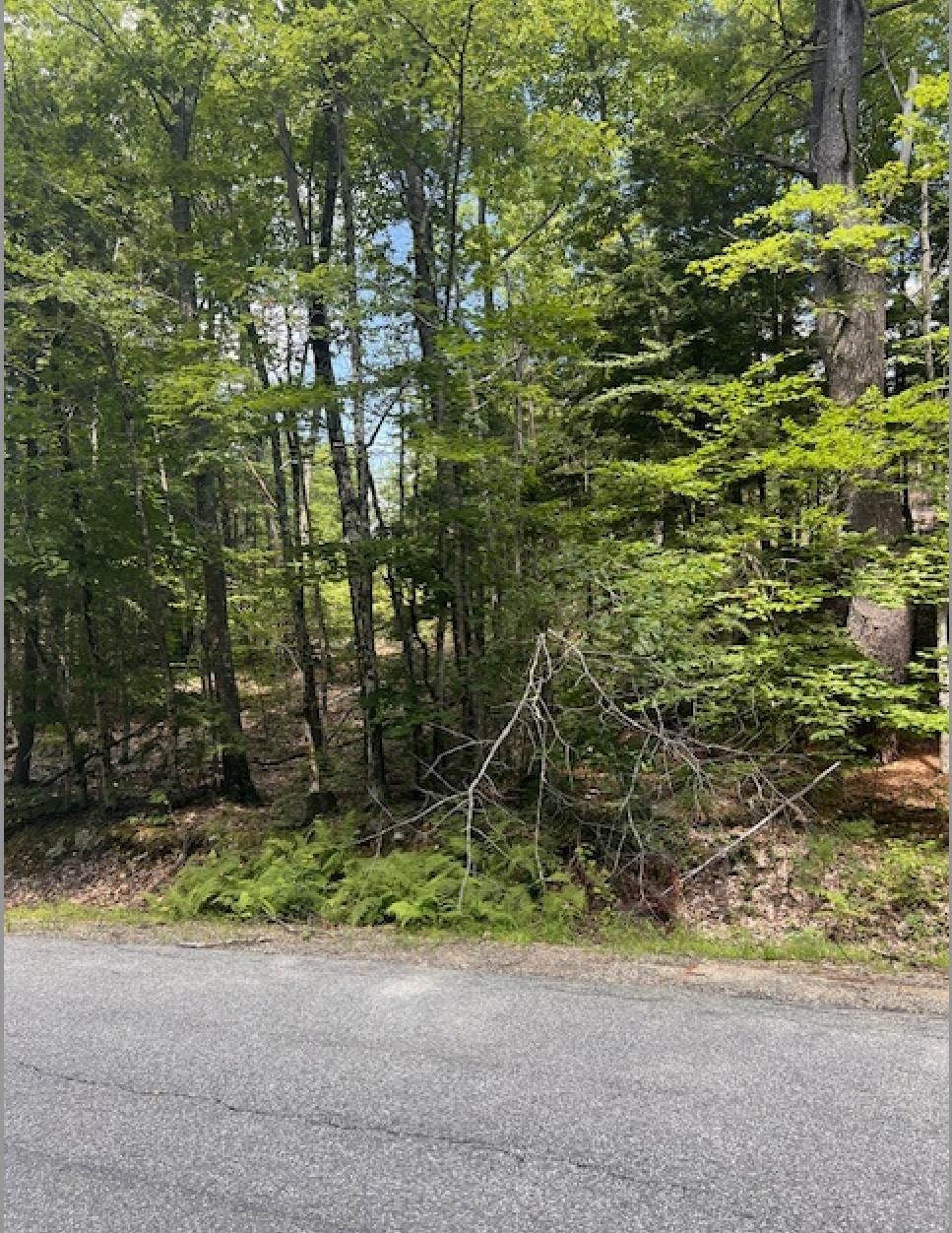 18-8 Province Road Strafford, NH 03884 - Photo 4 of 8