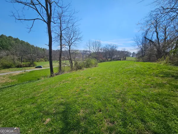 a view of a field with a large trees