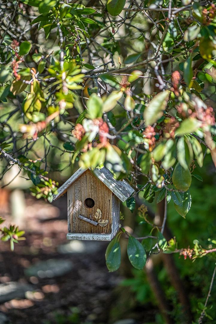 850 Day Valley Road Aptos, CA 95003 - Photo 25 of 28 Gallery Image 25