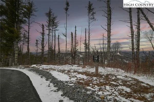 a street view with large trees